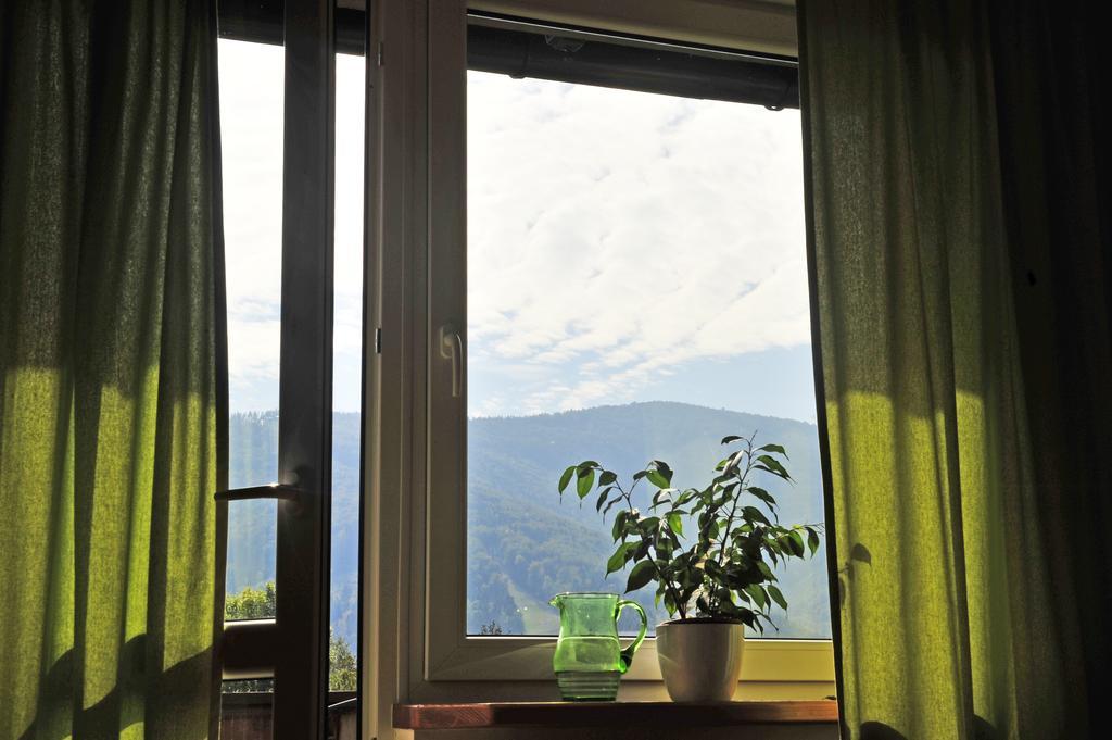 Pokoje Na Skalicy Ustroń Cameră foto